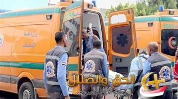 عنف الأسرة يودّي بحياة فتاة في البحيرة تحت ضربات والدها أمام المارة بسبب رفضها العمل